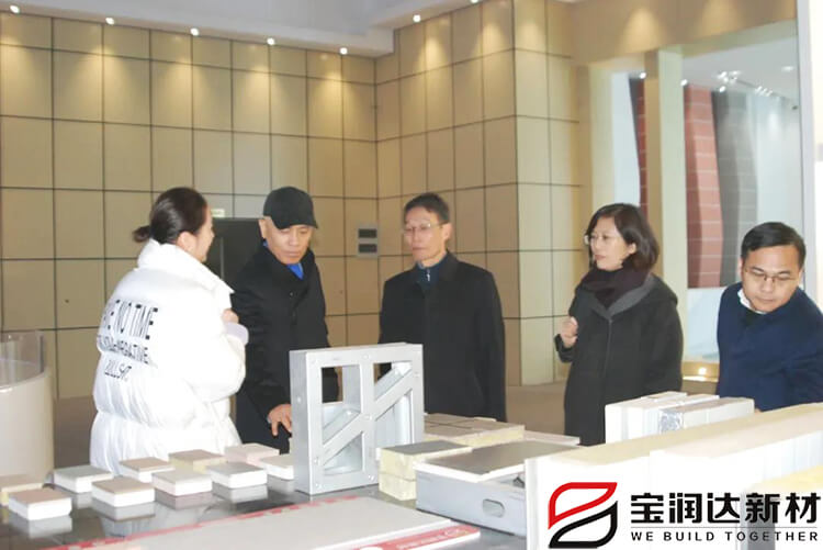 海馬集團(tuán)一行來訪寶潤(rùn)達(dá)參觀考察